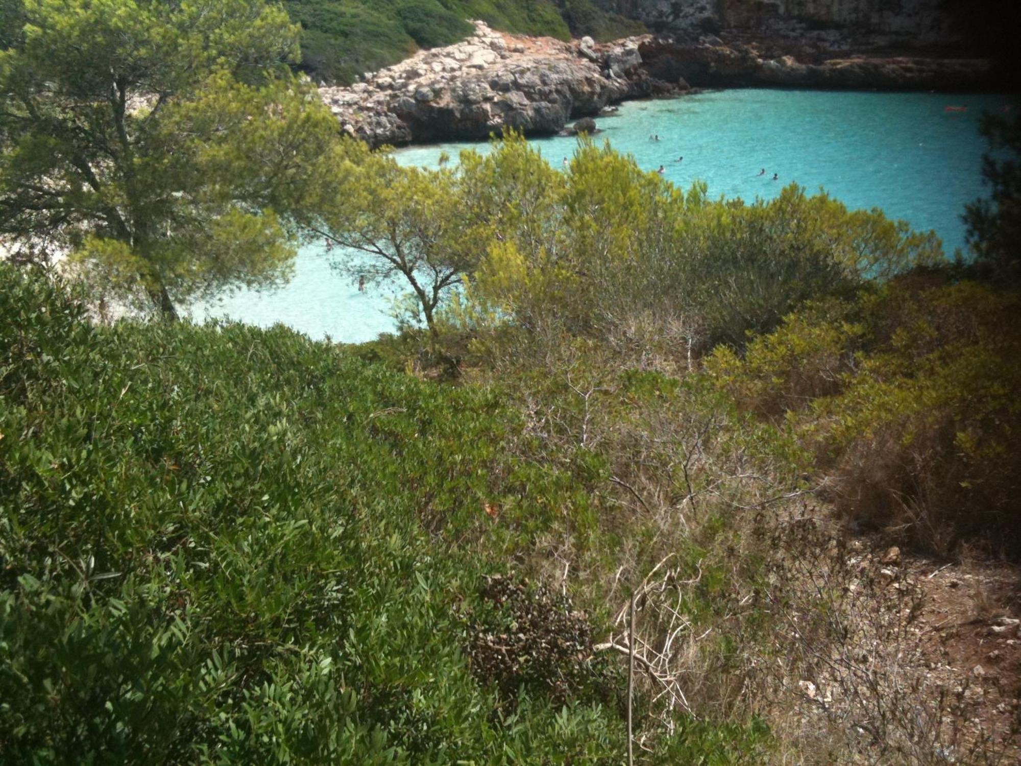 Finca Son Blat Porto Cristo Exterior photo